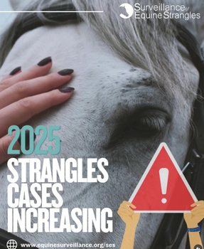 Spotting the Signs of Strangles: What Every Horse Owner in the UK Should Know